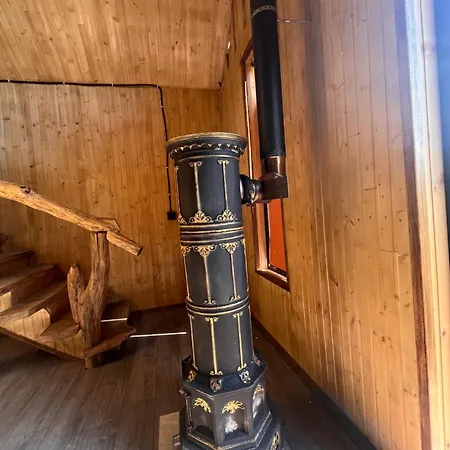 Dom wakacyjny мисливський дворик Solochin